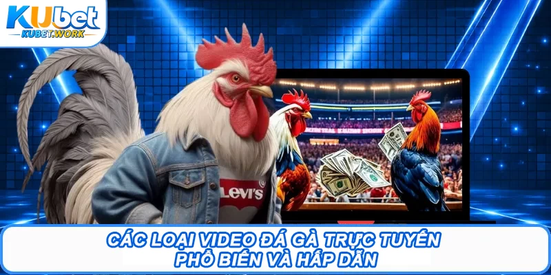 Các loại video đá gà trực tuyến phổ biến và hấp dẫn