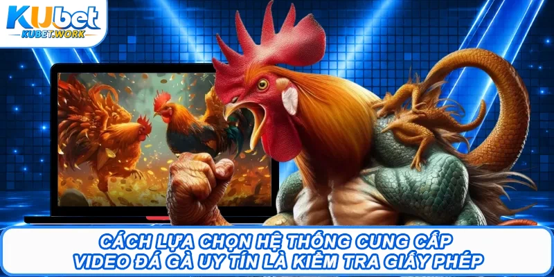 Cách lựa chọn hệ thống cung cấp video đá gà uy tín là kiểm tra giấy phép